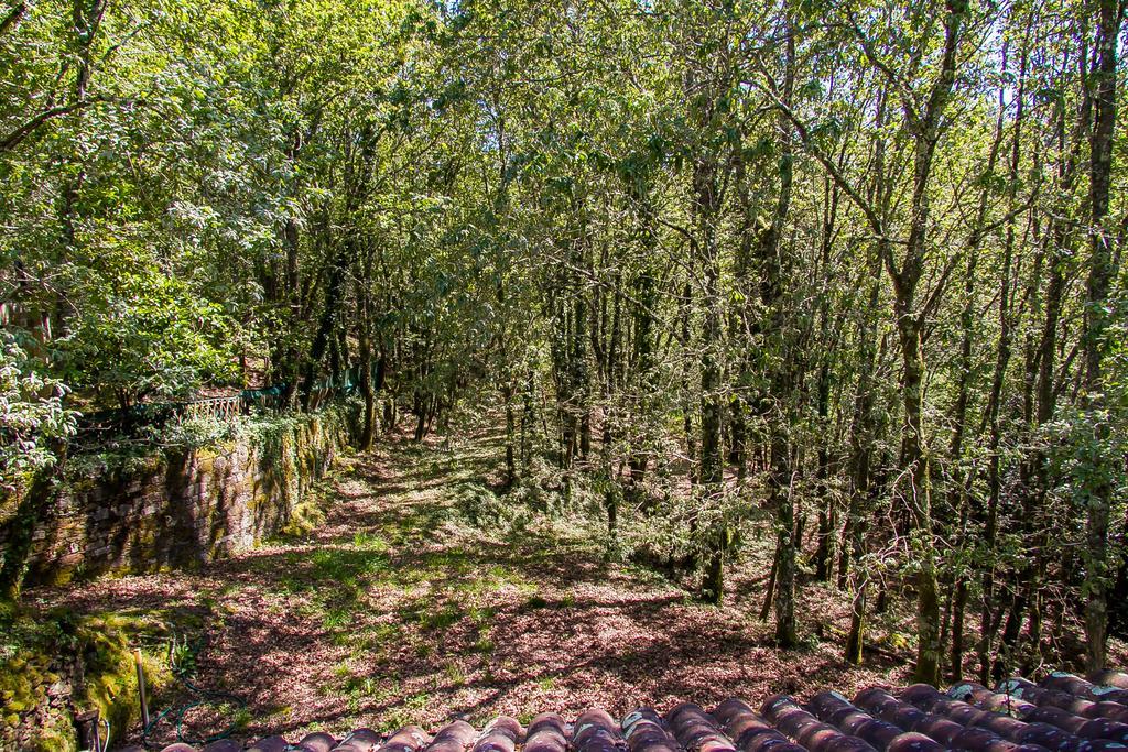 Villa Liiiving In Caminha | Oak Tree Chill House Exterior foto